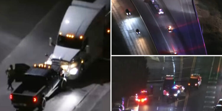 Carjack suspects lead LA cops on wild chase on live TV