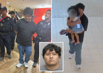 Creep with violent past caught abducting girl, 3, from mall: video