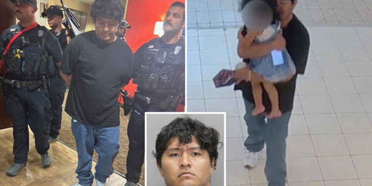 Creep with violent past caught abducting girl, 3, from mall: video