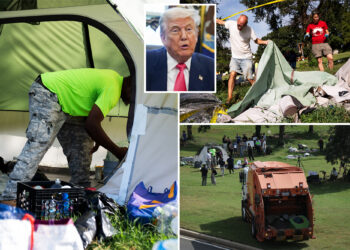 DC begins clearing out homeless encampments as arrests top 150 under Trump crackdown