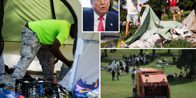 DC begins clearing out homeless encampments as arrests top 150 under Trump crackdown
