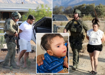 Dramatic video shows Emmanuel Haro's parents being hauled away on murder charges after phony baby snatch story