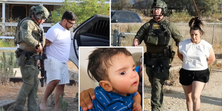 Dramatic video shows Emmanuel Haro's parents being hauled away on murder charges after phony baby snatch story