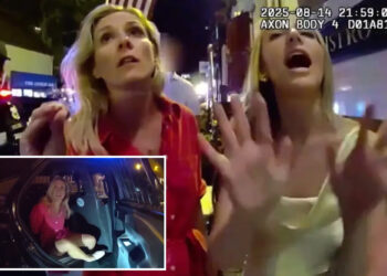 Enraged pal of arrested RI prosecutor was trying to 'slow things down' when 's--t hit the fan' during trespassing bust: lawyer