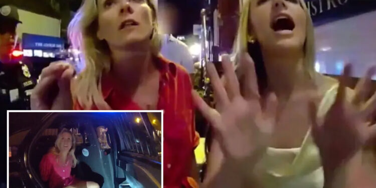 Enraged pal of arrested RI prosecutor was trying to 'slow things down' when 's--t hit the fan' during trespassing bust: lawyer