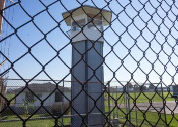 Florida’s Alligator Alcatraz Model Could Soon Come to Your State