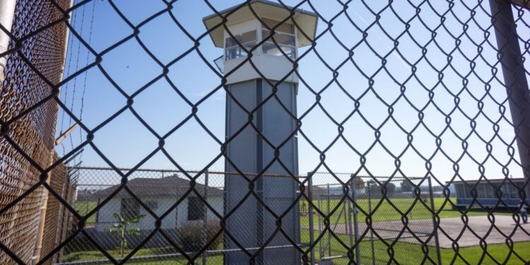 Florida’s Alligator Alcatraz Model Could Soon Come to Your State