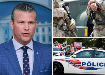 Hegseth says DC National Guard will not be involved in law enforcement functions but he’ll ‘have their back’ if they need to ‘temporarily detain’ criminals 