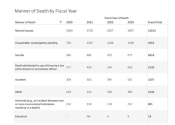 Screenshot of a table on the BJA's website showing data collected under the Death in Custody Reporting Act.