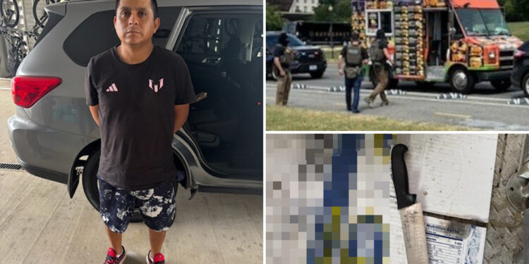 Illegal migrant threatened to harm himself with butcher knife when stopped by officers in DC: ICE