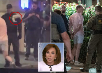Jeanine Pirro blames elitist jurors who don’t take crime seriously for failure to indict DC sandwich slinger