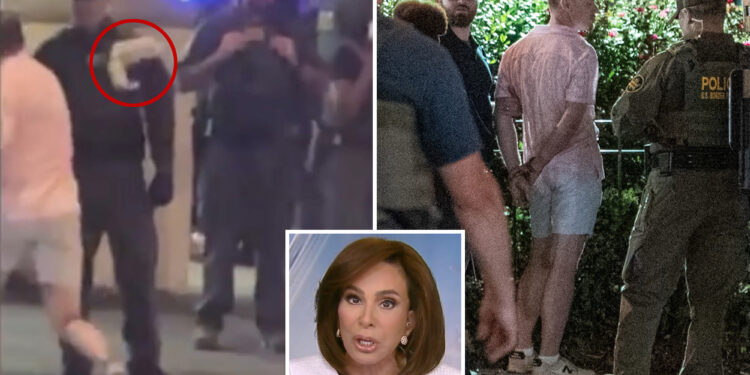 Jeanine Pirro blames elitist jurors who don’t take crime seriously for failure to indict DC sandwich slinger