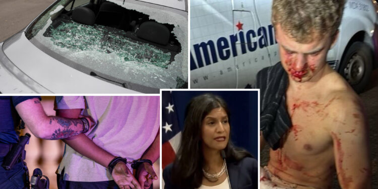 Migrant crime and carjackings ‘don’t matter to that many Americans,’ left-wing think tank VP tells Democrats 