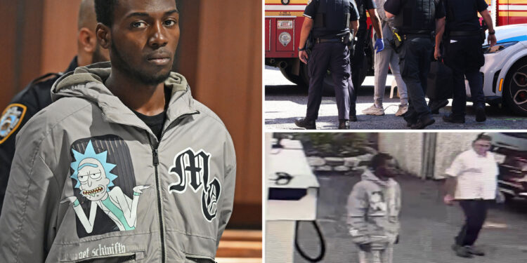 NYC carjacker seriously injures 87-year-old woman in wild morning crime spree: prosecutors