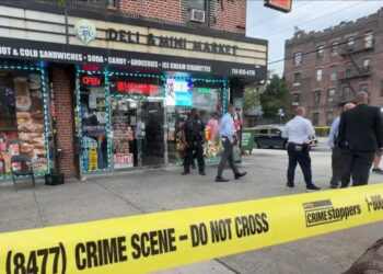 The disturbed attacker walked into the NY Deli & Mini Market Corp. on Hegeman Avenue near Van Siclen Avenue just after 3 p.m., and workers -- including the victim -- asked him to leave, law enforcement sources said. 