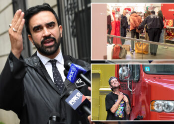 NYC mayoral candidate Zohran Mamdani wants to end all misdemeanor charges: 'E-ZPass for criminals'