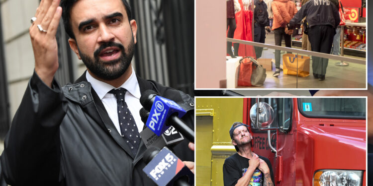 NYC mayoral candidate Zohran Mamdani wants to end all misdemeanor charges: 'E-ZPass for criminals'