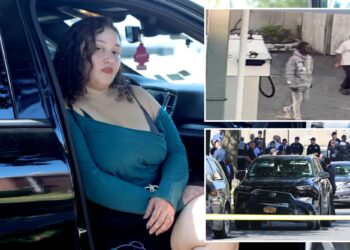 NYC woman confronted by violent carjacker who later sparked wild NYPD friendly-fire shooting fears 'city is turning into trash'