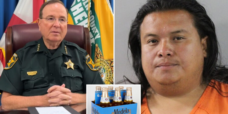 Nicaraguan man illegally in US facing 'enhanced' charges after drunken hit-and-run: sheriff