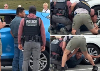 Screaming man who tried to run from federal officers in DC in viral video was previously arrested for child sex crimes and entered US illegally 3 times