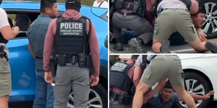 Screaming man who tried to run from federal officers in DC in viral video was previously arrested for child sex crimes and entered US illegally 3 times