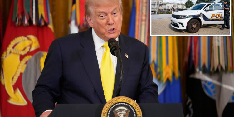 Trump to host news conference to 'stop violent crime' and make DC 'one of the safest' cities in the world