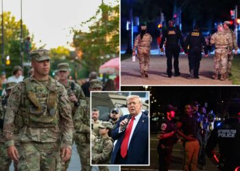 Trump to mobilize National Guard in 19 states in crackdown on crime, illegal immigration