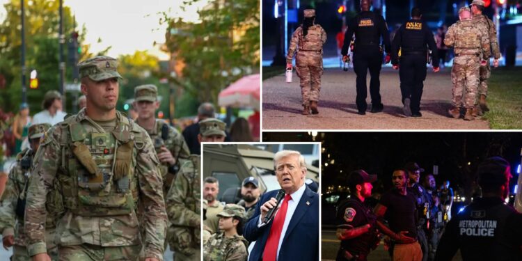 Trump to mobilize National Guard in 19 states in crackdown on crime, illegal immigration