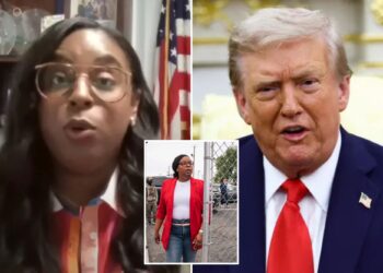 White House mocks ‘unserious’ NJ Dem Rep. LaMonica McIver after she claims ‘Liberation Day’ is ‘racist’ and code for ‘white power’