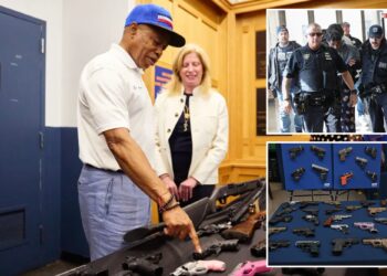 gang takedowns, gun seizures and precision policing
