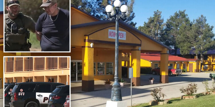 Bleach, hatchet, garbage bag order leads to freed hostage