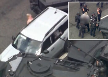 Cops arrest naked woman after four-hour standoff in Los Angeles with dog in car