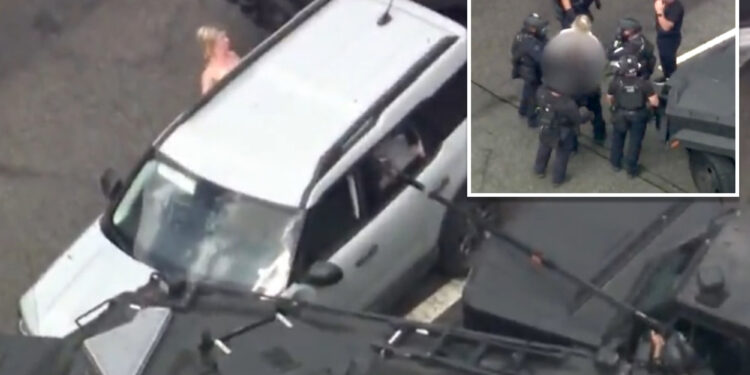 Cops arrest naked woman after four-hour standoff in Los Angeles with dog in car
