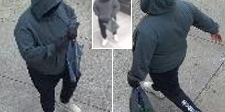 Gunman steals $20K from NYC landlord, 99, in broad daylight: cops