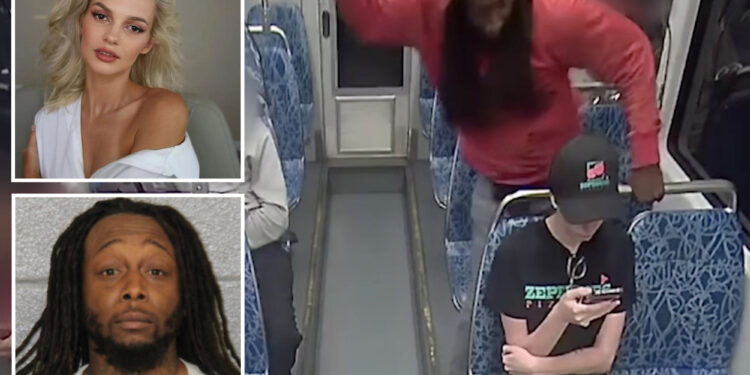 Horror video of Ukrainian refugee Iryna Zarutska's slaughter on Charlotte train is met with deafening silence