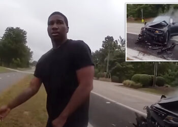 Illinois motorist purposely drives car into police cruiser during traffic stop