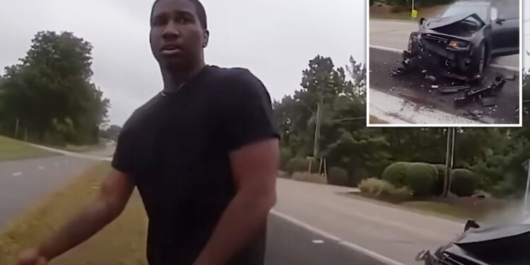 Illinois motorist purposely drives car into police cruiser during traffic stop