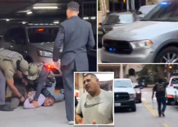 LA tow truck driver arrested for stealing ICE agents' vehicle as they struggled to detain TikTok influencer