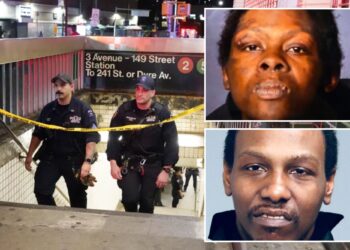 Meet the worst transit terrors on the loose in NYC