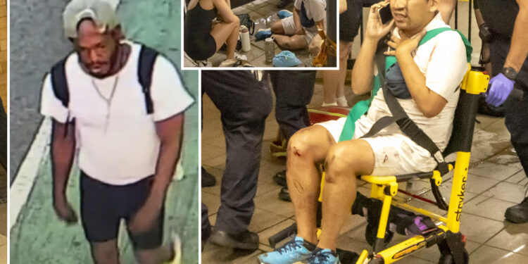 New footage shows mumbling maniac suspected of punching Harlem Hospital pediatrician onto NYC subway tracks