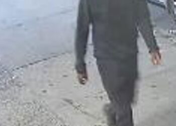 A Bronx sicko raped a 19-year-old woman as she sat on a bench at Park Avenue and East 183rd Street in Belmont early Wednesday, cops and sources said.