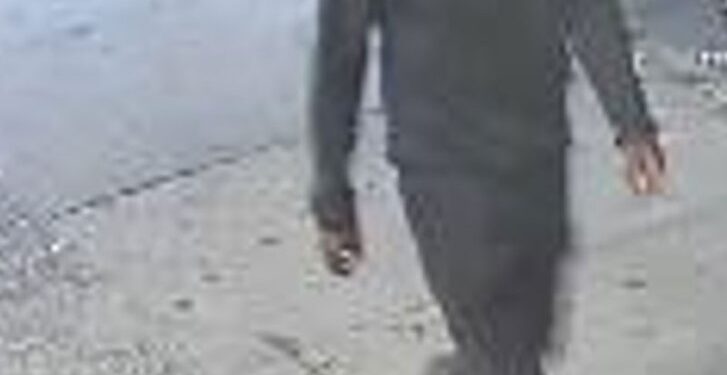 A Bronx sicko raped a 19-year-old woman as she sat on a bench at Park Avenue and East 183rd Street in Belmont early Wednesday, cops and sources said.