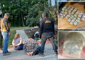 Suspected Sinaloa Cartel members apprehended in 23-state sweep by DEA