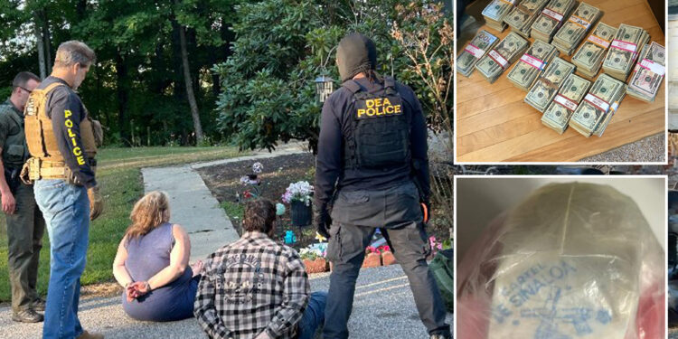 Suspected Sinaloa Cartel members apprehended in 23-state sweep by DEA