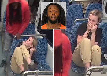 Ukrainian refugee Iryna Zarutska's look of horror after she was fatally stabbed on train — as her final moments are revealed