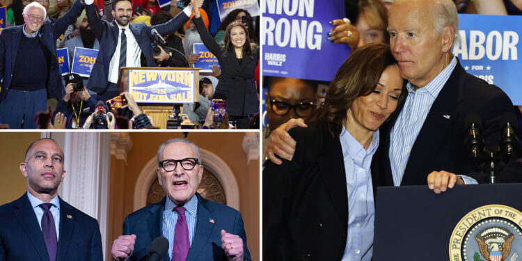 70% of voters think the Democratic Party is ‘out of touch’: poll 