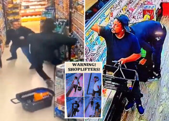 An armed gang of shoplifters is terrorizing NYC supermarkets— and grocers say NYPD is ignoring the rampage