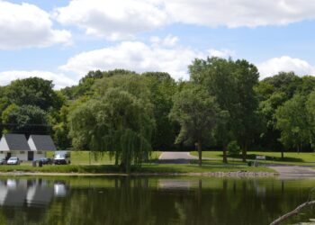 Keller Regional Park boat launch, buildings, and trees from across the water.