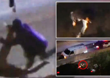 California car thief mowed down and killed on live TV in shocking footage