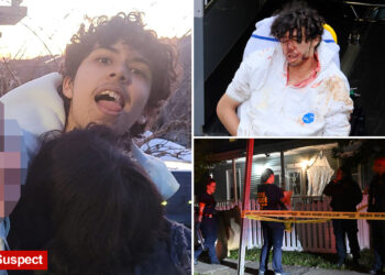 Cops were called to Staten Island horror house repeatedly on domestic violence calls before shock decapitation: sources